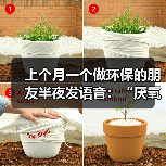 上个月一个做环保的朋友半夜发语音：“厌氧氨氧化这玩意真的能用在主流工艺吗？”