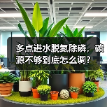 多点进水脱氮除磷，碳源不够到底怎么调？（图4）