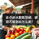 多点进水脱氮除磷，碳源不够到底怎么调？（图3）