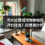 污水处理减污降碳绩效评价标准？别急着抄作业（图4）