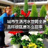 城市生活污水管网全覆盖样板区是怎么回事（图3）