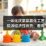 一体化厌氧氨氧化工艺能源经济性优势，看完我后悔没早点知道（图2）
