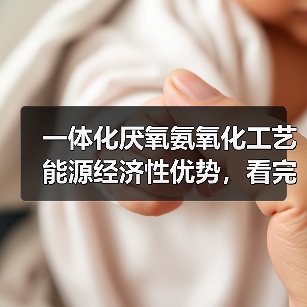 一体化厌氧氨氧化工艺能源经济性优势，看完我后悔没早点知道（图4）