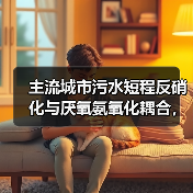主流城市污水短程反硝化与厌氧氨氧化耦合，到底靠谱吗？（图4）