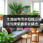 主流城市污水短程反硝化与厌氧氨氧化耦合，到底靠谱吗？