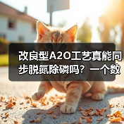 改良型A2O工艺真能同步脱氮除磷吗？一个数据角度的追问