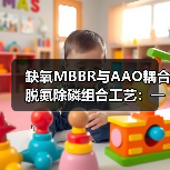 缺氧MBBR与AAO耦合脱氮除磷组合工艺：一个理性观察（图3）