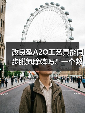 改良型A2O工艺真能同步脱氮除磷吗？一个数据角度的追问（图3）