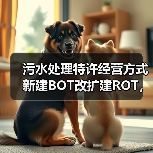 污水处理特许经营方式新建BOT改扩建ROT，到底怎么选？一个项目搞砸后的血泪反思（图2）