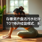 存量资产盘活污水处理TOT特许经营模式，别扯那些没用的（图2）