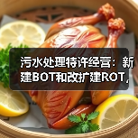 污水处理特许经营：新建BOT和改扩建ROT，选错亏百万（图4）