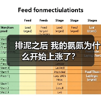 排泥之后 我的氨氮为什么开始上涨了？（图4）