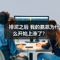 排泥之后 我的氨氮为什么开始上涨了？（图2）