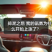 排泥之后 我的氨氮为什么开始上涨了？