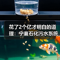 花了2个亿才明白的道理：宁夏石化污水系统提标升级改造项目中交，环保不是“交钥匙工程”