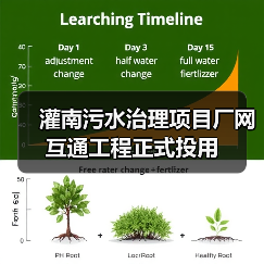 灌南污水治理项目厂网互通工程正式投用（图3）