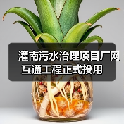 灌南污水治理项目厂网互通工程正式投用（图2）