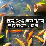 灌南污水治理项目厂网互通工程正式投用