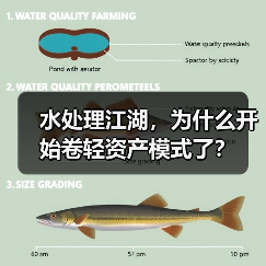 水处理江湖，为什么开始卷轻资产模式了？（图3）
