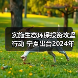 实施生态环保投资攻坚行动 宁夏出台2024年项目投资攻坚年行动方案