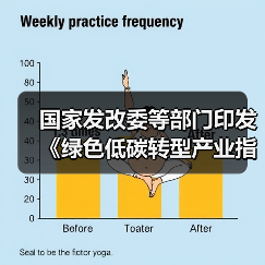 国家发改委等部门印发《绿色低碳转型产业指导目录（2024年版）》（图4）