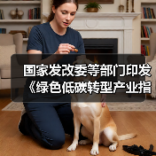 国家发改委等部门印发《绿色低碳转型产业指导目录（2024年版）》（图3）