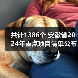 共计1386个 安徽省2024年重点项目清单公布