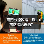 雨污分流改造：靠，山东这次玩真的？