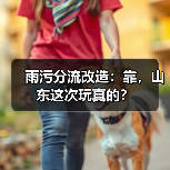 雨污分流改造：靠，山东这次玩真的？（图4）
