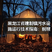 黑龙江省建制镇污水设施运行技术指南：别照着抄，会出大问题（图2）