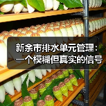 新余市排水单元管理：一个模糊但真实的信号（图3）