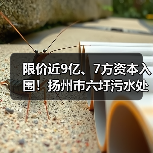 限价近9亿、7方资本入围!扬州市六圩污水处理厂扩建工程EPC开标!(图2) 限价近9亿、7方资本入围!扬州市六圩污水处理厂扩建工程EPC开标!(图2)
