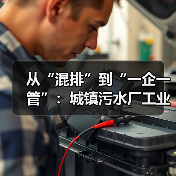 从“混排”到“一企一管”：城镇污水厂工业废水退出的现实逻辑