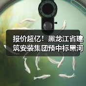 报价超亿！黑龙江省建筑安装集团预中标黑河市北安市向前污水处理厂二期工程项目施工！（图2）