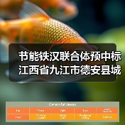 节能铁汉联合体预中标江西省九江市德安县城区重点区域污水配套设施完善工程EPC！（图4）