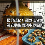 报价超亿！黑龙江省建筑安装集团预中标黑河市北安市向前污水处理厂二期工程项目施工！（图4）