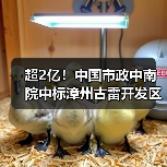 超2亿！中国市政中南院中标漳州古雷开发区南部污水处理厂（一期）一阶段工程（工程总承包）