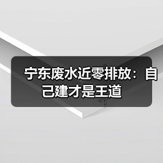 宁东废水近零排放：自己建才是王道（图2）