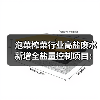 泡菜榨菜行业高盐废水新增全盐量控制项目：一个环保标准的真实影响（图2）