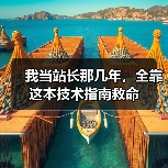 我当站长那几年，全靠这本技术指南救命（图2）