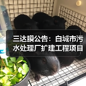 三达膜公告：白城市污水处理厂扩建工程项目完工（图3）