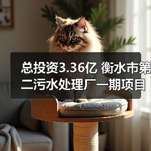总投资3.36亿 衡水市第二污水处理厂一期项目开工！