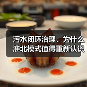 污水闭环治理，为什么淮北模式值得重新认识？