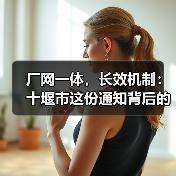 厂网一体，长效机制：十堰市这份通知背后的逻辑与不确定（图2）