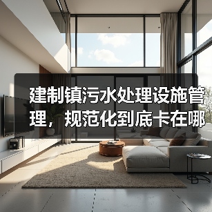 建制镇污水处理设施管理，规范化到底卡在哪里？