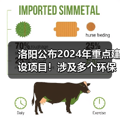 洛阳公布2024年重点建设项目！涉及多个环保项目！（图2）