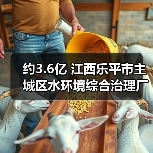 约3.6亿 江西乐平市主城区水环境综合治理厂网一体化一期工程特许经营权出让项目即将采购！（图4）