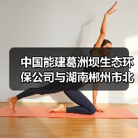 中国能建葛洲坝生态环保公司与湖南郴州市北湖区共商合作（图2）