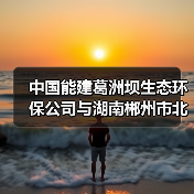 中国能建葛洲坝生态环保公司与湖南郴州市北湖区共商合作（图4）