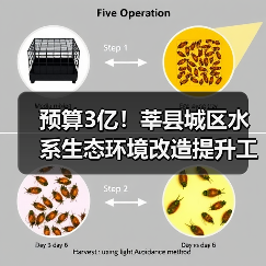 预算3亿！莘县城区水系生态环境改造提升工程（一期）（EPC）项目招标计划发布！（图2）
